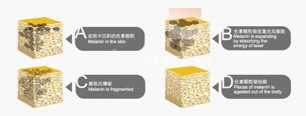 ���ݷ���Ƥ����ҽԺ